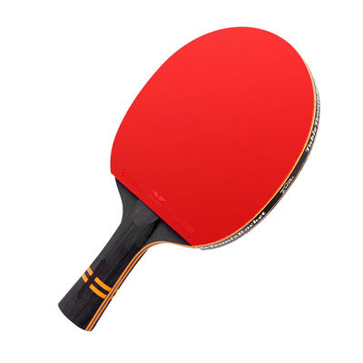 탄소 섬유 블레이드 재료 천연 목재 바닥과 순수한 목재 페들과 5 플레이스